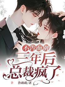 不告而别,三年后总裁疯了