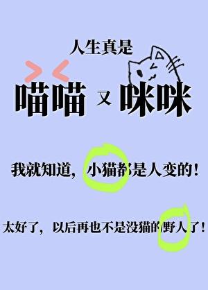 小猫咪变成人类幼崽后